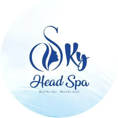 skyheadspa.com's icon