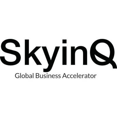 skyinq.com's icon