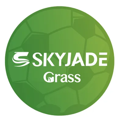skyjades.com's icon