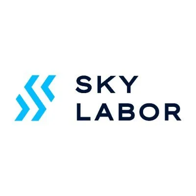 skylabor.com.br's icon