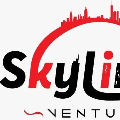 skylimitsventures.co.ke's icon