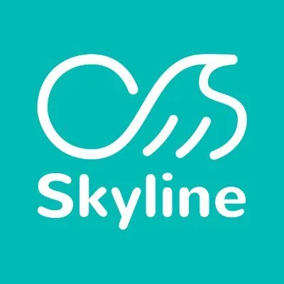 skyline.tw's icon