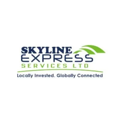 skylineexpress.co.ke's icon