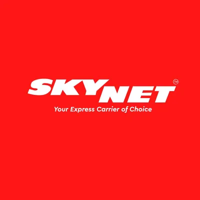 skynet.com.my's icon