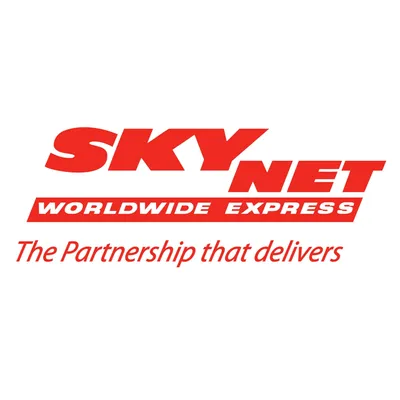 skynet.net's icon