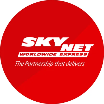 skynetasiapacific.com's icon