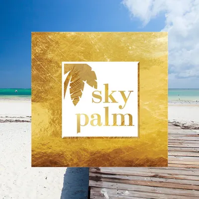 skypalm.com's icon