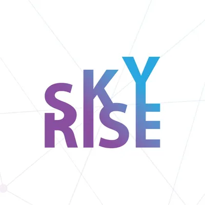 skyriseltd.com's icon