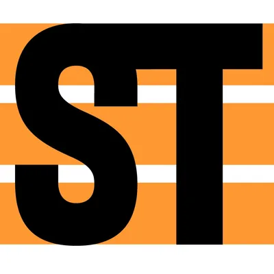 skytough.com's icon