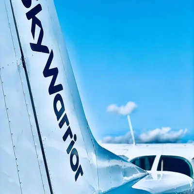 skywarriorinc.com's icon