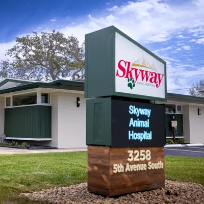 skywayah.com's icon