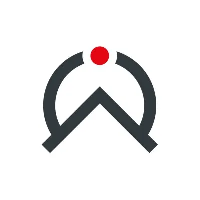slingscore.com's icon