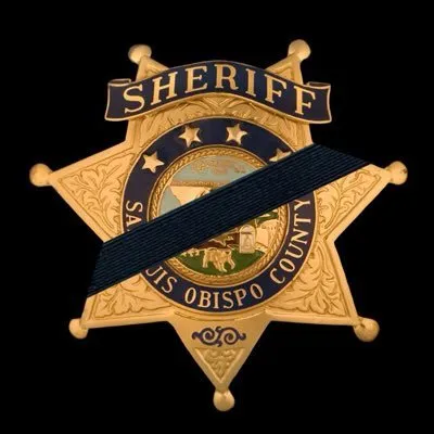 slosheriff.org's icon