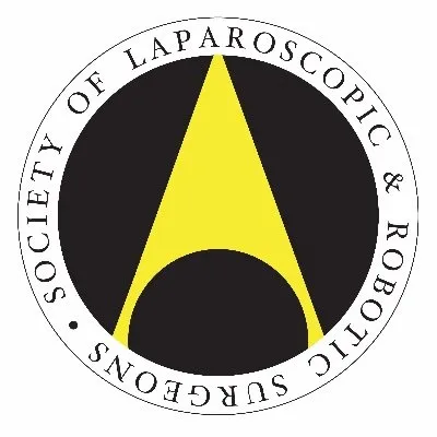 sls.org's icon