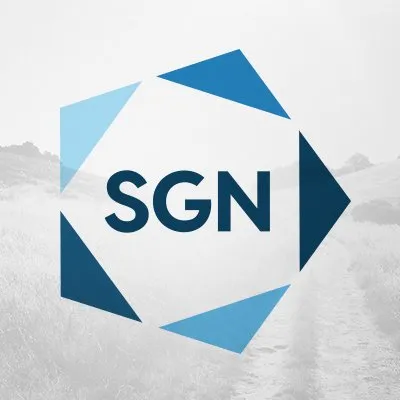 smallgroupnetwork.com's icon