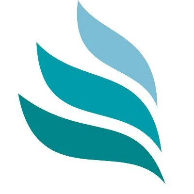 smcconsulting.be's icon
