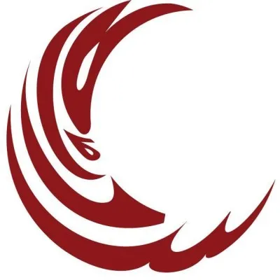 smh.org.pk's icon