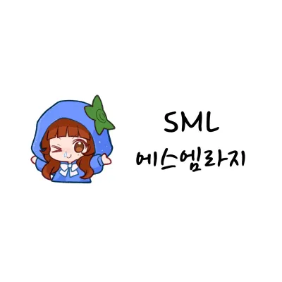 smlarge.com's icon