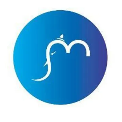 smtechsoftwares.com's icon