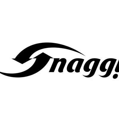 snaggi.com's icon