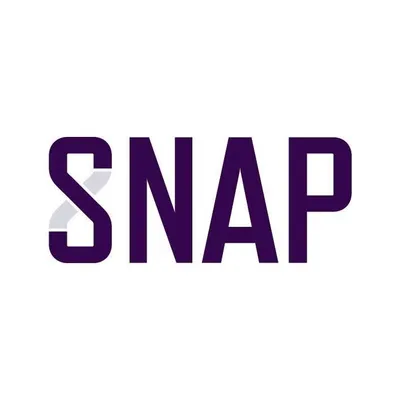 snap-int.com's icon