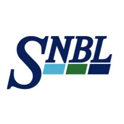 snbl.co.jp's icon
