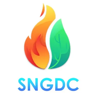 sngdcp.com's icon