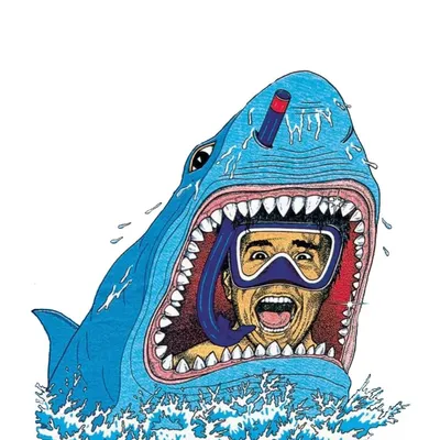 snorkelbob.com's icon