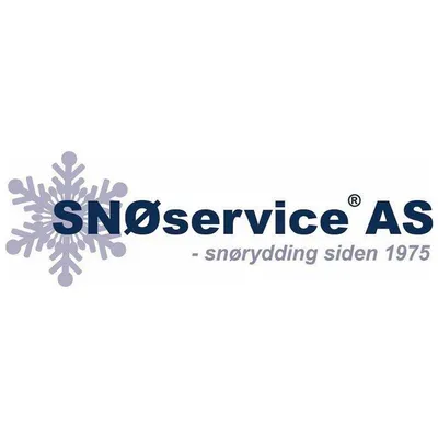 snoservice.no's icon