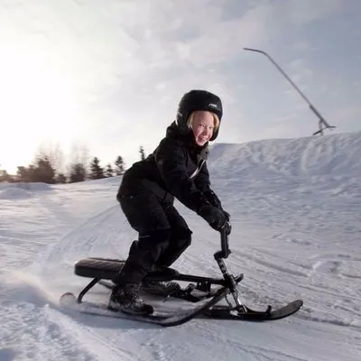 snowsledsonline.se's icon