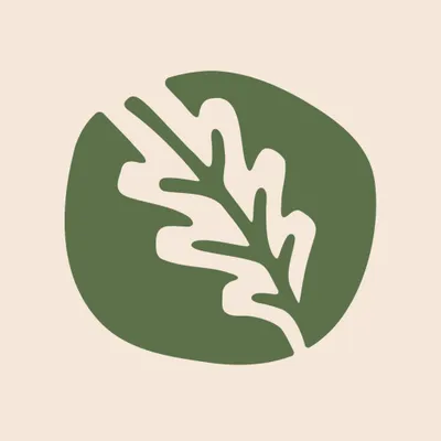 snp.nl's icon