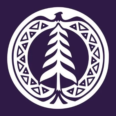 snpolytechnic.com's icon