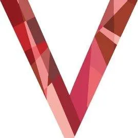 socialvaluejp.org's icon