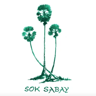 soksabayassociation.org's icon