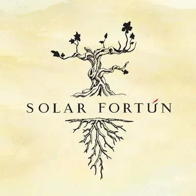 solarfortun.com's icon