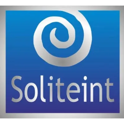 soliteint.com's icon