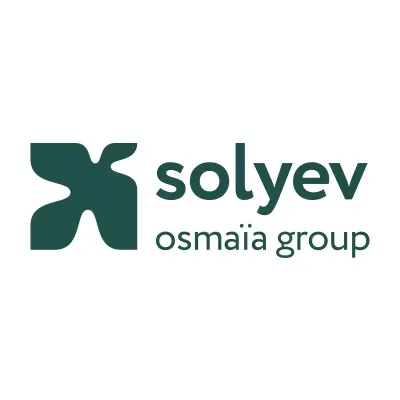 Solyev's icon