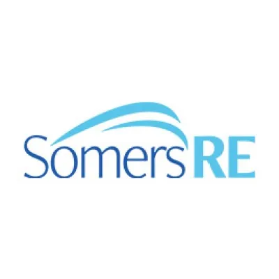 somersgroup.com's icon