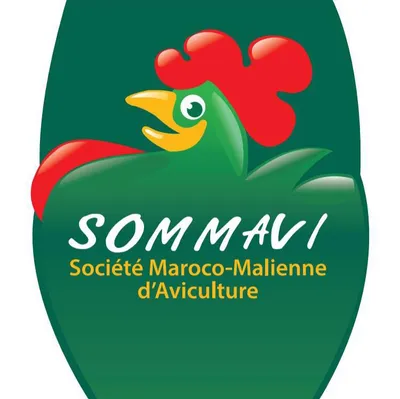 sommavi.com's icon