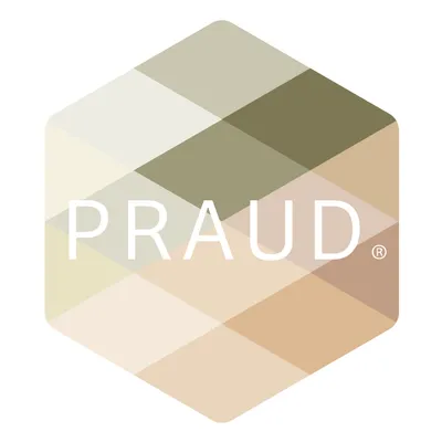 somospraud.com's icon