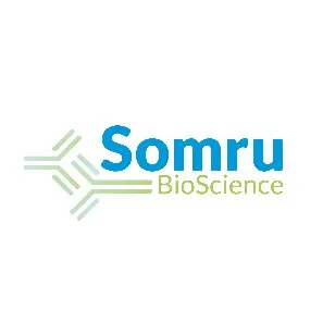 somrubioscience.com's icon