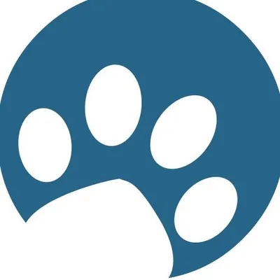 sondelfamilyveterinaryclinic.com's icon