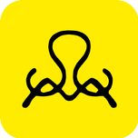 Sonnemondsterne