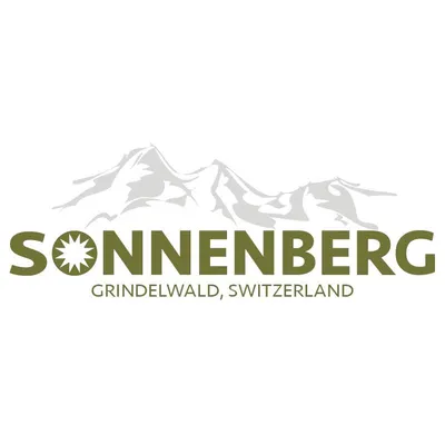 sonnenberghotel.ch's icon