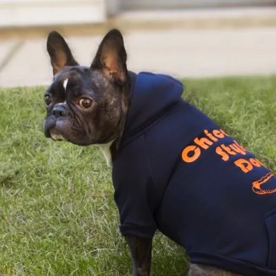 Sophisticated Pup Coupons and Promo Code
