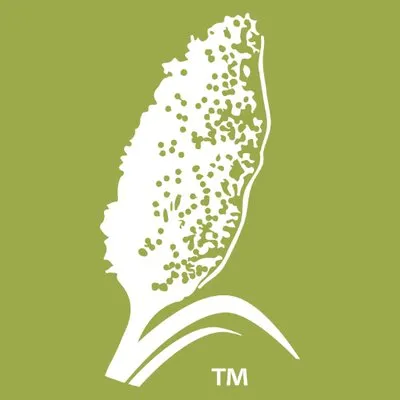 sorghumcheckoff.com's icon