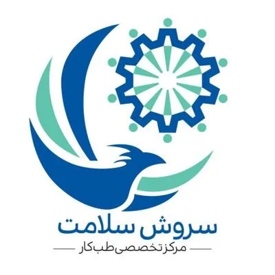 soroushmedical.com's icon
