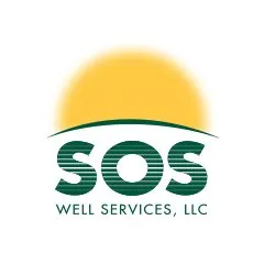 soswellservice.com's icon