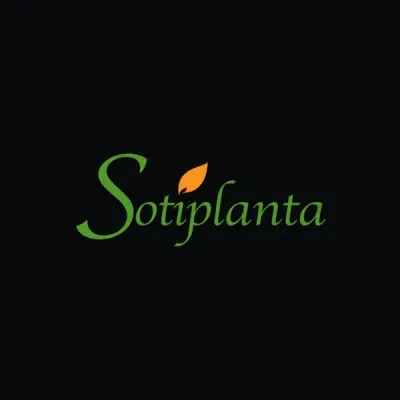 Sotiplanta's icon