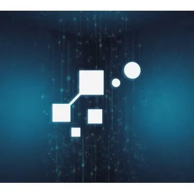 sourceless-foundation.org's icon